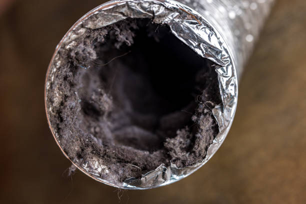 Best Air Duct Cleaning Near Me  in Mount Penn, PA